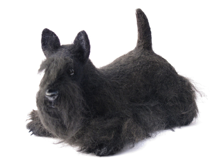 17. Шерстяной скотч-терьер Петинати