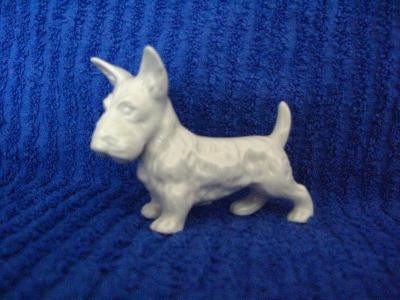 37. Богемский скотч-терьер