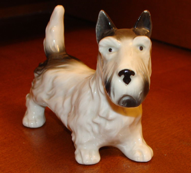 43. Скотч терьер 9004